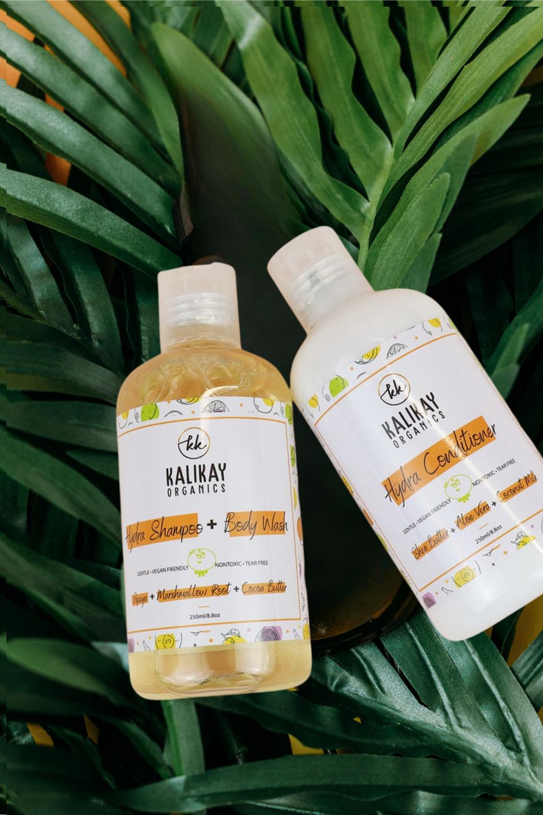 Wash and Go Duo: shampoo and conditioner